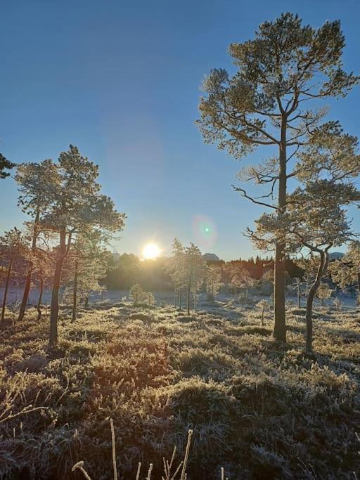 Koselig Og Moderne Leilighet, Meget Sentralt I Narvik Med Gratis Parkering! Eksteriør bilde
