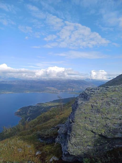 Koselig Og Moderne Leilighet, Meget Sentralt I Narvik Med Gratis Parkering! Eksteriør bilde