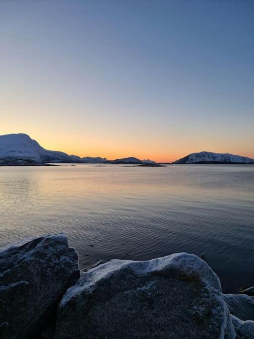 Koselig Og Moderne Leilighet, Meget Sentralt I Narvik Med Gratis Parkering! Eksteriør bilde