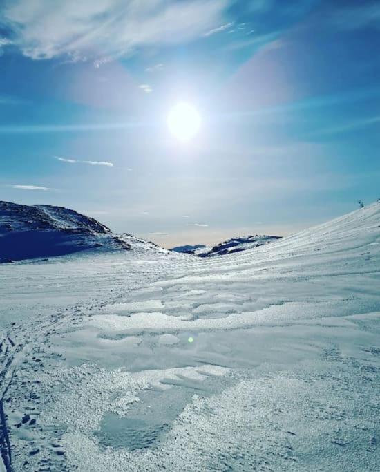Koselig Og Moderne Leilighet, Meget Sentralt I Narvik Med Gratis Parkering! Eksteriør bilde